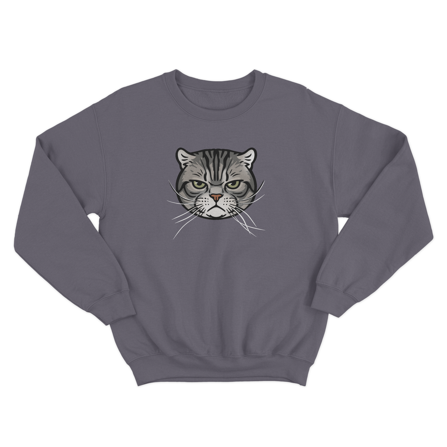 Gray sweatshirt with a CUSTOM cat face illustration on a white background