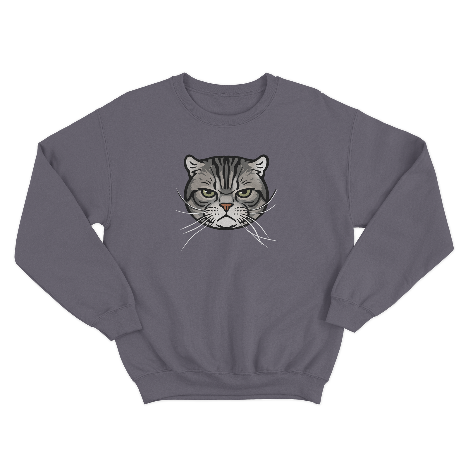 Gray sweatshirt with a CUSTOM cat face illustration on a white background