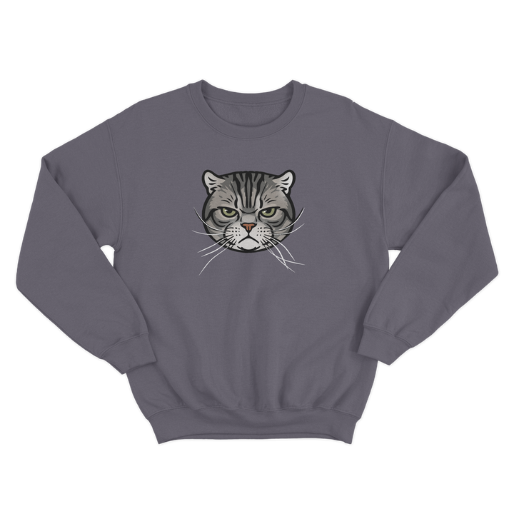 Gray sweatshirt with a CUSTOM cat face illustration on a white background